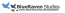 BlueRaven Studios logo